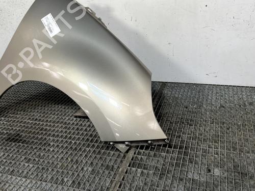 Right front fenders RENAULT SCÉNIC III (JZ0/1_) 1.5 dCi | BP27324631C42 