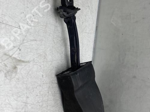 Hinge/Door check strap VW SHARAN (7N1, 7N2) 2.0 TDI | BP19992986C146 