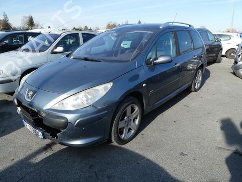 Left rear door PEUGEOT 307 Break (3E) 2.0 HDi 135 | BP21955376C4 