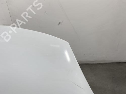 Hood RENAULT SCÉNIC III (JZ0/1_) 1.9 dCi (JZ0J, JZ1J, JZ1K, JZ1S) | BP19954873C1