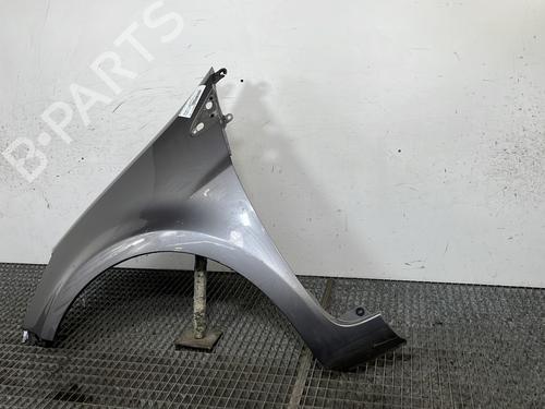 Left front fenders RENAULT CLIO III (BR0/1, CR0/1) 1.5 dCi (C/BR0G, C/BR1G) | BP29329274C41 