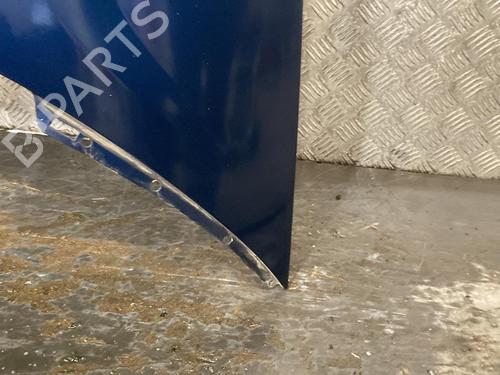Hood LANCIA PHEDRA (179_) 2.2 JTD (179AXC1A) | BP20011754C1 