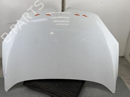 hood-renault-megane-iii-hatchback-bz01_-b3_-2008-32062783 main image