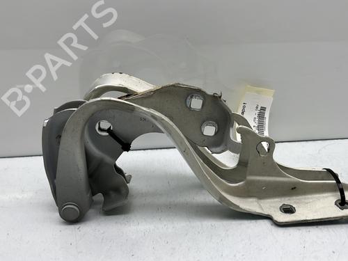 Hinge/Door check strap FIAT 500 (312_) 1.3 D Multijet (312AXE1A) | BP23765118C146