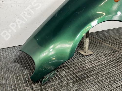 Left front fenders RENAULT CLIO II Hatchback Van (SB0/1/2_) 1.9 D (SB0R) | BP29841642C41 