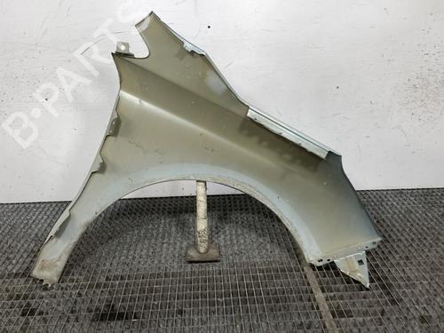 Left front fenders CITROËN C4 II (NC_) 1.6 HDi 110 | BP26168126C41
