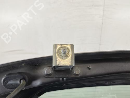 Tailgate RENAULT MEGANE III Hatchback (BZ0/1_, B3_) 1.5 dCi (BZ09, BZ0D, BZ1W, BZ29, BZ14) | BP29272167C6 