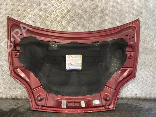 Hood FIAT BRAVO II (198_) 1.6 D Multijet (198AXM1B) | BP19996100C1