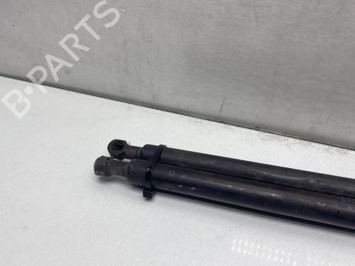 Tailgate lift support RENAULT KANGOO (KC0/1_) 1.5 dCi (KC07) | BP28705053C138 