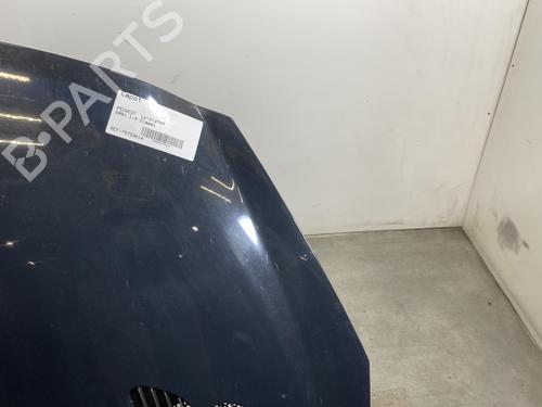 Hood PEUGEOT 206+ (2L_, 2M_) 1.4 HDi eco 70 | BP19970198C1