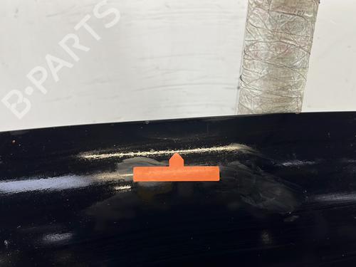 Hood TOYOTA RAV 4 II (_A2_) 2.0 D 4WD (CLA20_, CLA21_, CLA20R, CLA21R) | BP30090646C1 