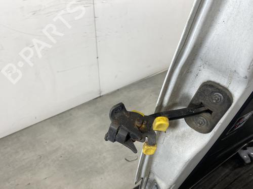 Used Right tailgate Right tailgate FIAT DOBLO Platform/Chassis (263_) 1.6 D Multijet (263YXD1B, 263XYR1B, 263YXX1B, 263HXD1B,... (105 hp) 21785067 21785067