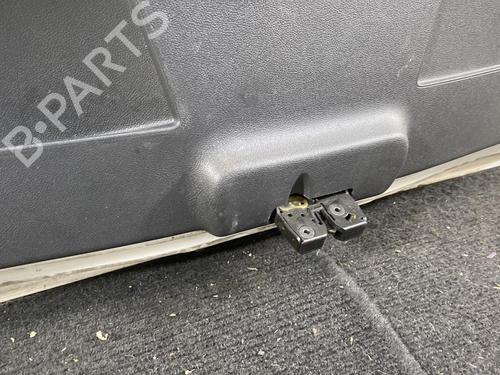 Used Tailgate RENAULT CLIO III (BR0/1, CR0/1) 1.5 dCi (88 hp) 30720047