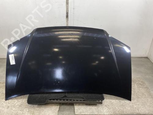 Used Hood FIAT IDEA (350_) 1.2 16V (80 hp) 19973543