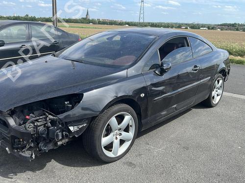 Door moulding trim PEUGEOT 407 Coupe (6C_) 2.7 HDi | BP29413697C150 