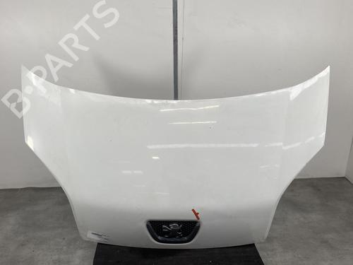 Hood PEUGEOT BIPPER (AA_) 1.3 HDi 75 | BP21957826C1 