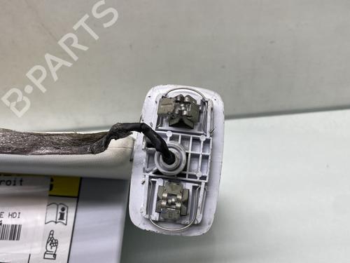 Osłona przeciwsłoneczna prawa PEUGEOT 308 II (LB_, LP_, LW_, LH_, L3_) 2.0 BlueHDi 150 | BP30791687I2