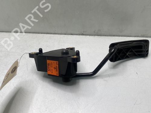 Pedal RENAULT GRAND SCÉNIC II (JM0/1_) 1.9 dCi (JM14) | BP29939241I4