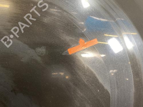 Hood RENAULT TWINGO II (CN0_) 1.2 16V (CN0K, CN0V, CN0A) | BP24420439C1 