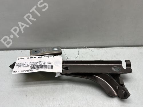 Used Hinge/Door check strap PEUGEOT PARTNER Box Body/MPV 1.6 HDi (90 hp) 29707637