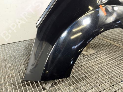 Left front fenders FORD FIESTA VI (CB1, CCN) 1.6 TDCi | BP29456236C41 