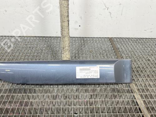 Used Door moulding trim RENAULT MEGANE III Hatchback (BZ0/1_, B3_) 1.5 dCi (BZ09, BZ0D, BZ1W, BZ29, BZ14) (110 hp) 29707158