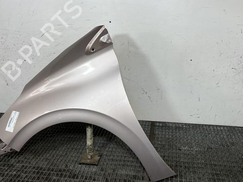 Left front fenders PEUGEOT 208 I (CA_, CC_) 1.6 HDi | BP29995762C41