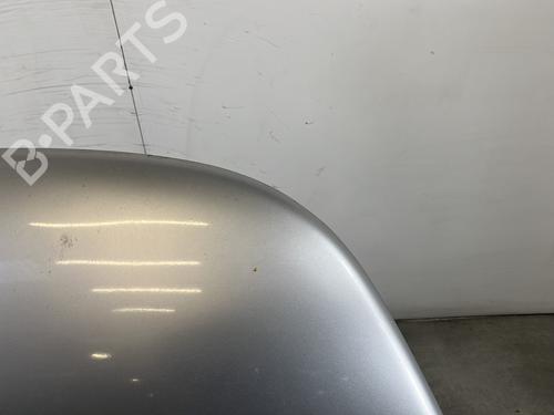 Capot Capot VW NEW BEETLE (9C1, 1C1) 1.6 (102 hp) 30813384 30813384