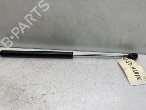 Used Tailgate lift support Tailgate lift support RENAULT TWINGO I (C06_) [1993-2012] 19955838 19955838