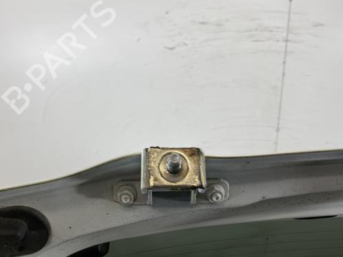 Tailgate NISSAN JUKE (F15) 1.6 | BP24619306C6 