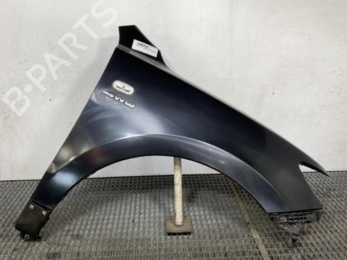 Right front fenders HYUNDAI SANTA FÉ II (CM) 2.2 CRDi 4x4 | BP19952140C42 