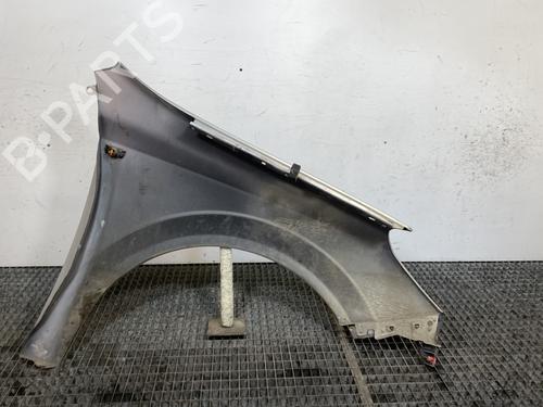 Left front fenders OPEL ASTRA H TwinTop (A04) 1.9 CDTi (L67) | BP24476045C41 