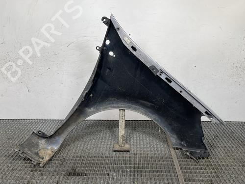 Left front fenders RENAULT CLIO III (BR0/1, CR0/1) 1.5 dCi (C/BR0G, C/BR1G) | BP29329274C41 