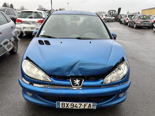 Right front door PEUGEOT 206 Hatchback (2A/C) 1.4 i | BP23764858C3