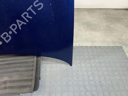 Hood RENAULT CLIO II (BB_, CB_) 1.5 dCi (B/CB07) | BP31065985C1 