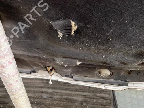 Capot Capot CITROËN BERLINGO / BERLINGO FIRST Box Body/MPV (M_) 1.9 D 70 (MBWJZ, MCWJZ) (69 hp) 29352856 29352856