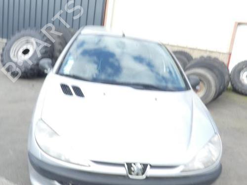 Rear left exterior door handle PEUGEOT 206 Hatchback (2A/C) 1.9 D | BP20013155C130 