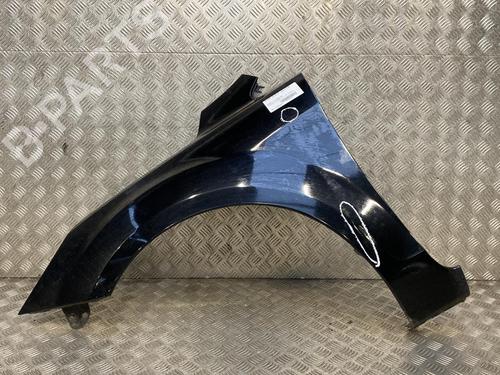 Left front fenders FORD FOCUS II (DA_, HCP, DP)  | BP21957424C41 