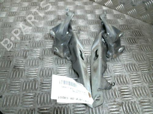 Used Hinge/Door check strap VOLVO S80 II (124) D5 (185 hp) 19981455