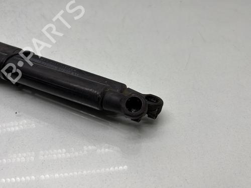 Hood lift support RENAULT SCÉNIC III (JZ0/1_) 1.5 dCi | BP28279977C139 