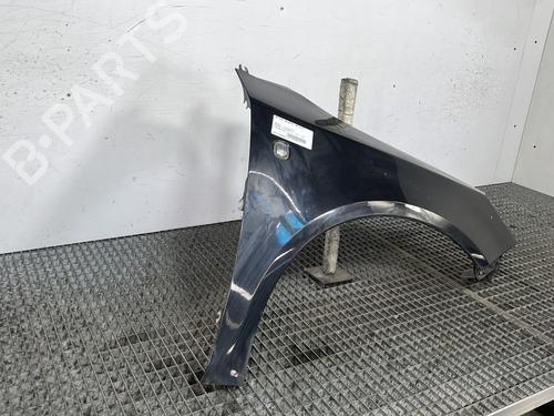 Right front fenders SKODA FABIA II (542) 1.2 | BP26952428C42 