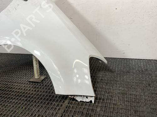 Right front fenders RENAULT CLIO III (BR0/1, CR0/1) 1.5 dCi | BP21378570C42 
