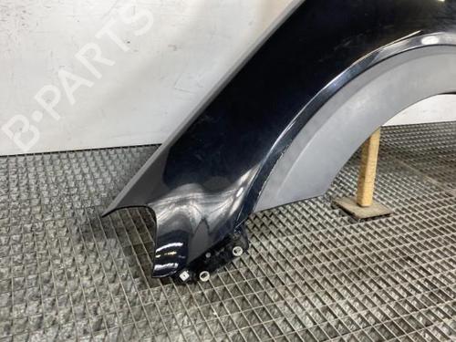 Left front fenders CHEVROLET CAPTIVA (C100, C140) 2.0 D | BP20646621C41 