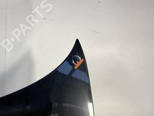 Used Hood BMW Z4 Roadster (E85) 2.0 i (150 hp) 21960505