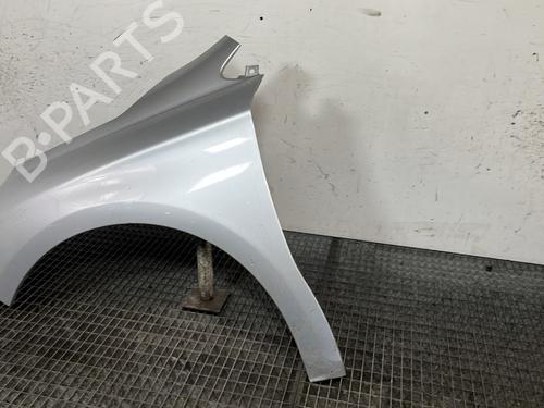 left-front-fenders-citroen-c4-ii-nc_-2009-31322235 main image