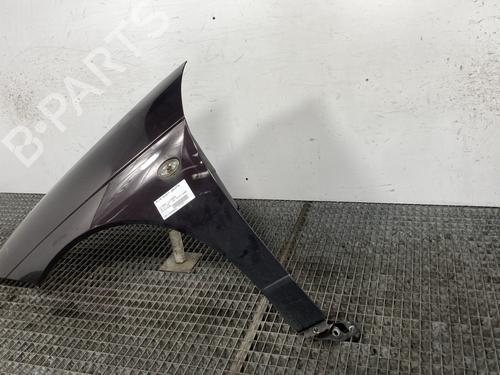 Left front fenders CITROËN C6 (TD_) 2.7 HDi | BP24538262C41 