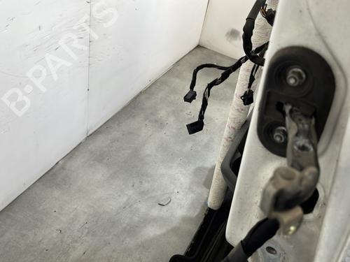 Left front door FIAT DUCATO Van (250_) 100 Multijet 2,2 D | BP24884256C2 
