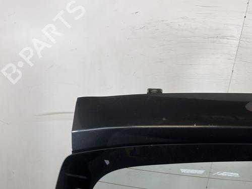 Tailgate DACIA SANDERO 1.5 dCi | BP29202803C6 