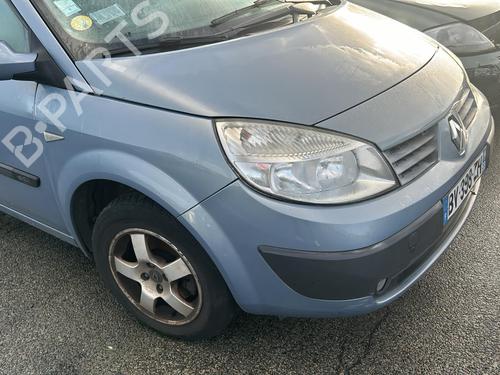 Right front door RENAULT SCÉNIC II (JM0/1_) 1.5 dCi (JM1E, JM16) | BP21960304C3 