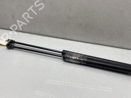 Tailgate lift support DACIA SANDERO II 1.0 SCe 75 (B8JC, B8JD, B8NC) | BP28280219C138 